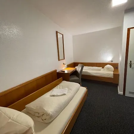 Brunnen Hotel 3*